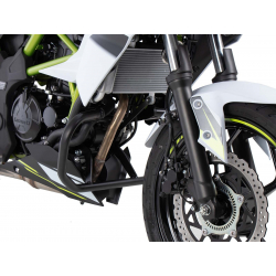 Z 125 à partir de 2021 ✓ Pare carters Hepco-Becker