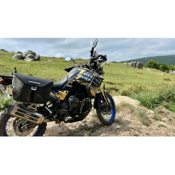 Ténéré 700 ( T7 ) à partir de 2019 ✓ Echappement IXIL MXT T7