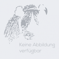 F 6 C Custom 1997-2001 ✓ Supports sacoches laterales Hepco-Becker