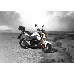 MSX 125 2017-2020 ✓ Minirack Hepco-Becker