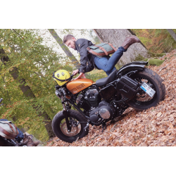 V9 Bobber from 2016 ✓ Support Cutout + Canister 4L coté gauche Hepco-Becker