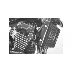 Legend TT 900 1999-2001 ✓ Roulettes de protection