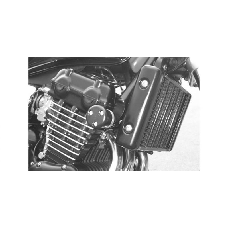 Legend TT 900 1999-2001 ✓ Roulettes de protection